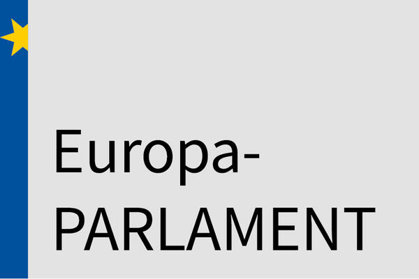 Bild vergrößern: Teaserbild: Blauer Balken mit Stern auf grauem Grund, mit Schriftzug Europa-Parlament