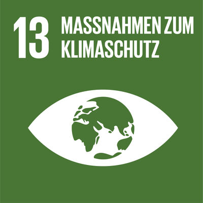 Bild vergrößern: Logo: (13) Maßnahmen zum Klimaschutz