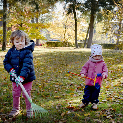 Bild vergrößern: Kinder harken Herbstlaub