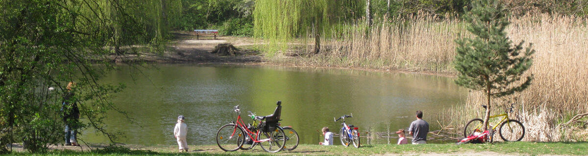 Bild vergrößern: Fahrräder am Ufer des Düppelteichs