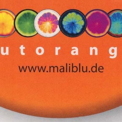 Bild vergr&ouml;&szlig;ern: orangefarbener Halbkreis, bunte Orangenscheiben, Schriftzug