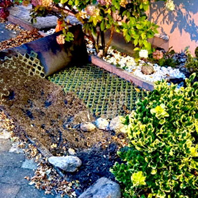 Bild vergr&ouml;&szlig;ern: Foto von Wildschwein-W&uuml;hlsch&auml;den im Stra&szlig;enland