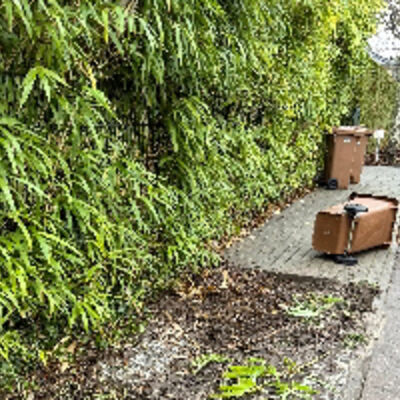 Bild vergr&ouml;&szlig;ern: Foto von Wildschwein-W&uuml;hlsch&auml;den im Stra&szlig;enland