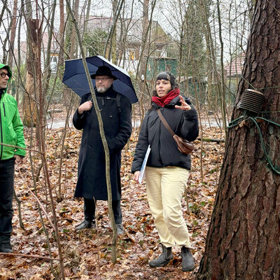 Bild vergr&ouml;&szlig;ern: Bilderserie: Abschlussveranstaltung des Projektes "Zukunftsf&auml;higer Gemeindewald", hier: fachlich gef&uuml;hrter Waldspaziergang durch den Bannwald