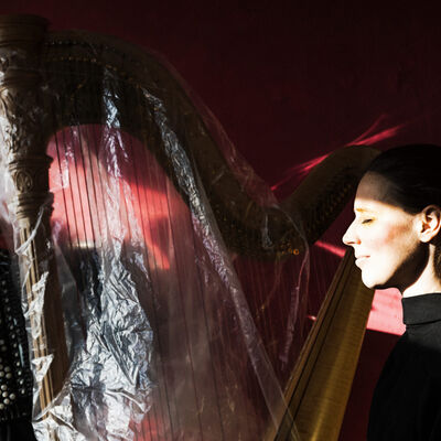 Bild vergr&ouml;&szlig;ern: Links ein Mann mit Akkordeon, rechts eine Frau an der Harfe