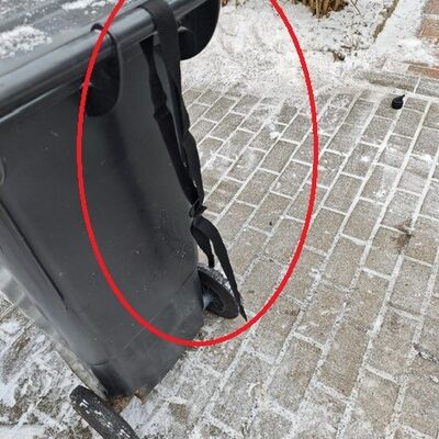 Bild vergr&ouml;&szlig;ern: Das Foto zeigt ein Abfalltonne, die mit einem Gurt versehen ist.