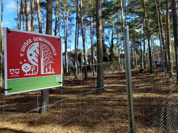 Das Foto zeigt ein Schild, das erkl&auml;rt, weshalb im Kiefernwaldbestand westlich des Waldspielplatzes an der Ameisengasse jetzt ein Zaun steht.