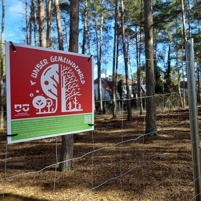 Bild vergr&ouml;&szlig;ern: Das Foto zeigt ein Schild, das erkl&auml;rt, weshalb im Kiefernwaldbestand westlich des Waldspielplatzes an der Ameisengasse jetzt ein Zaun steht.