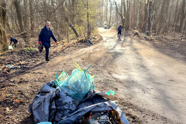 Bild vergr&ouml;&szlig;ern: M�llsammeln in Kleinmachnow; Menschen sammeln in einem Waldst�ck
