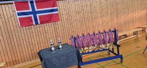 Das Foto zeigt zwei Poklae sowie Medaillen vor einerf norwegischen Flagge