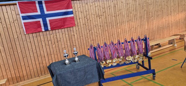Bild vergr&ouml;&szlig;ern: Das Foto zeigt zwei Poklae sowie Medaillen vor einerf norwegischen Flagge