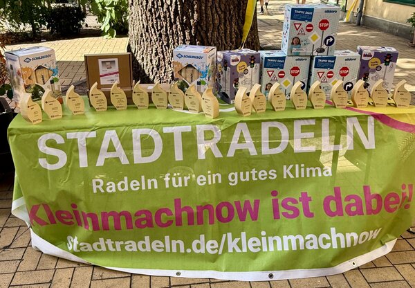 Bild vergr&ouml;&szlig;ern: Das Foto zeigt die Holz-Pokale und Geschenke f�r die erfolgreichen Teilnehmer des diesj�hrigen STADTRADELNS in Kleinmachnow