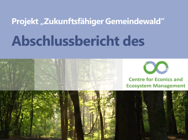 Das Foto zeigt die Titelseite des Abschlussberichts des Projekts "Zukunftsf&auml;higer Gemeindewald"