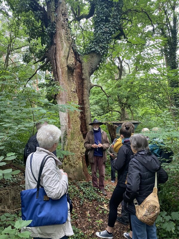 Bild vergr&ouml;&szlig;ern: Das Foto zeigt Menschen im Wald.