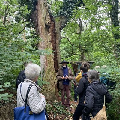 Das Foto zeigt Menschen im Wald.