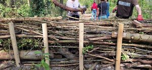 Das Foto zeigt eine Benjes-Hecke.