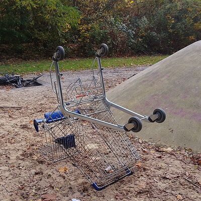 Bild vergr&ouml;&szlig;ern: Das Foto zeigt einen umgekippten Einkaufswagen auf dem Spielplatz an der F&ouml;rster-Funke-Alle