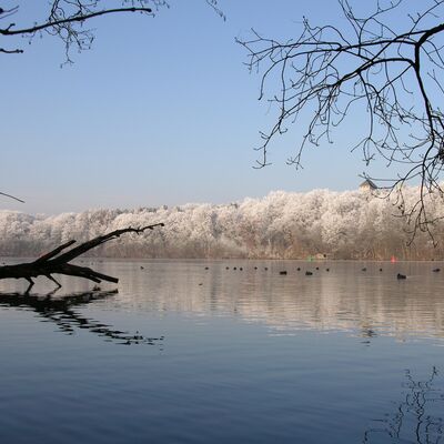 Bild vergrößern: Blick auf den winterlichen Machnower See