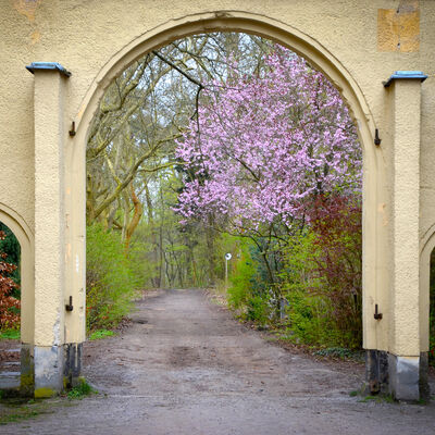 Bild vergrößern: Hofeinfahrt Neue Hakeburg im Frühling