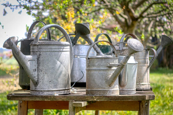 Bild vergr&ouml;&szlig;ern: Gie�kannen auf einem Gartentisch