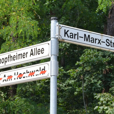 Bild vergrößern: Straßenschild Schopfheimer Allee